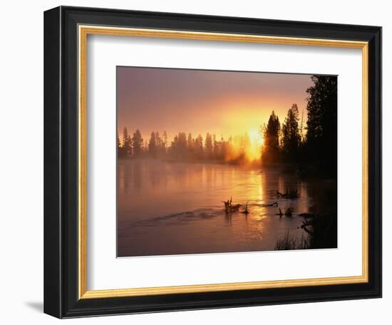 Oregon. Deschutes National Forest, rising sun breaks through morning fog along the Deschutes River.-John Barger-Framed Photographic Print