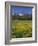 Oregon. Deschutes NF, Broken Top rises above coniferous forest and meadow of subalpine buttercup.-John Barger-Framed Photographic Print