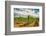 Oregon, Dundee. Vineyard in Dundee Hills-Richard Duval-Framed Photographic Print