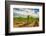 Oregon, Dundee. Vineyard in Dundee Hills-Richard Duval-Framed Photographic Print