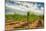 Oregon, Dundee. Vineyard in Dundee Hills-Richard Duval-Mounted Photographic Print