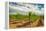 Oregon, Dundee. Vineyard in Dundee Hills-Richard Duval-Framed Premier Image Canvas