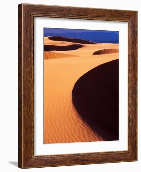 Oregon Dunes National Recreation Area, Sunset, Oregon, USA-Adam Jones-Framed Photographic Print