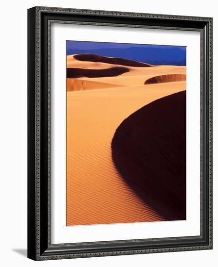 Oregon Dunes National Recreation Area, Sunset, Oregon, USA-Adam Jones-Framed Photographic Print