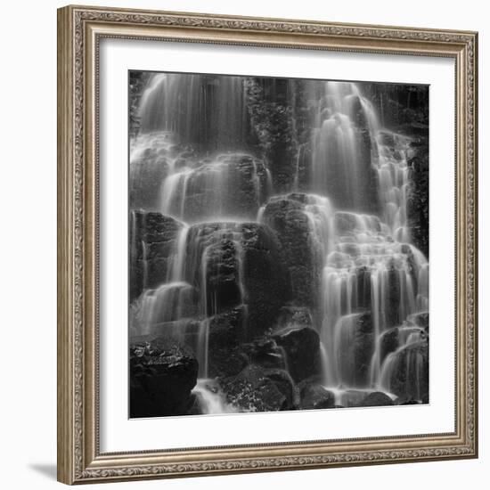 Oregon Flow-Moises Levy-Framed Giclee Print