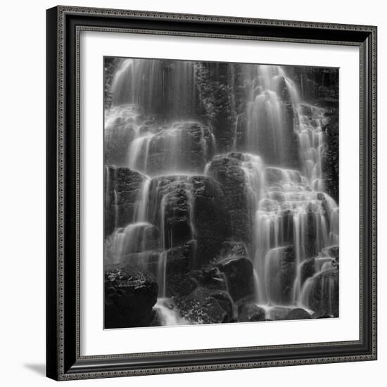 Oregon Flow-Moises Levy-Framed Giclee Print