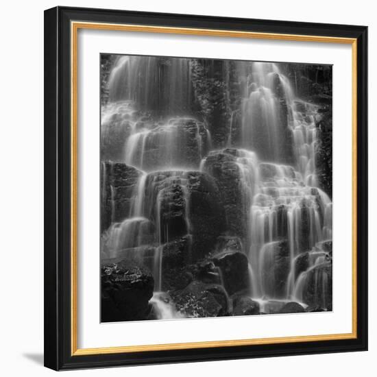 Oregon Flow-Moises Levy-Framed Giclee Print