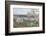 Oregon, Hood River. Cherry orchard and Mt. Hood-Rob Tilley-Framed Photographic Print