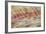 Oregon, John Day Fossil Beds National Monument. Landscape of Painted Hills Unit-Jaynes Gallery-Framed Photographic Print