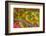 Oregon, Malheur National Wildlife Refuge. Western Tanager on Limb-Cathy & Gordon Illg-Framed Photographic Print