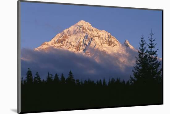 Oregon. Mount Hood NF, evening light defines fresh autumn snowfall-John Barger-Mounted Photographic Print