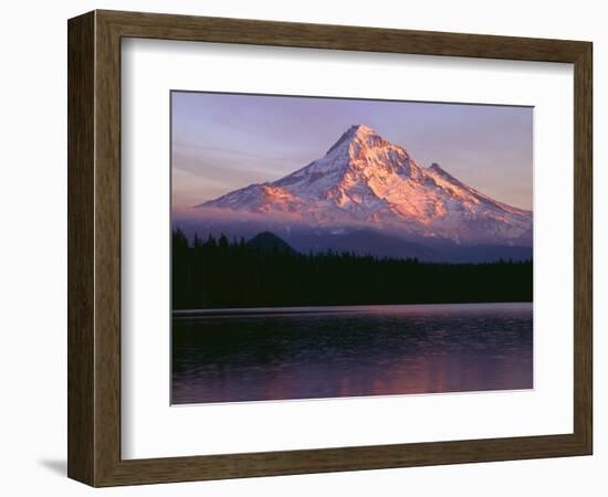 Oregon. Mount Hood NF, sunset light reddens north side of Mount Hood with first snow of autumn-John Barger-Framed Photographic Print