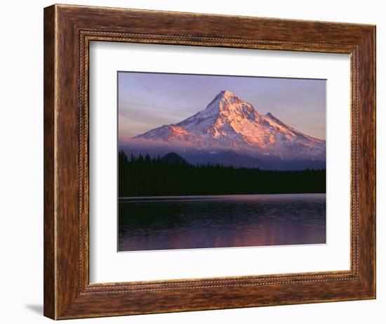 Oregon. Mount Hood NF, sunset light reddens north side of Mount Hood with first snow of autumn-John Barger-Framed Photographic Print