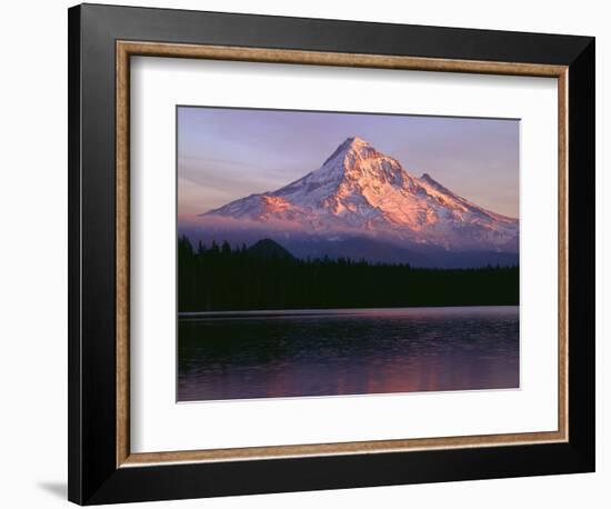 Oregon. Mount Hood NF, sunset light reddens north side of Mount Hood with first snow of autumn-John Barger-Framed Photographic Print