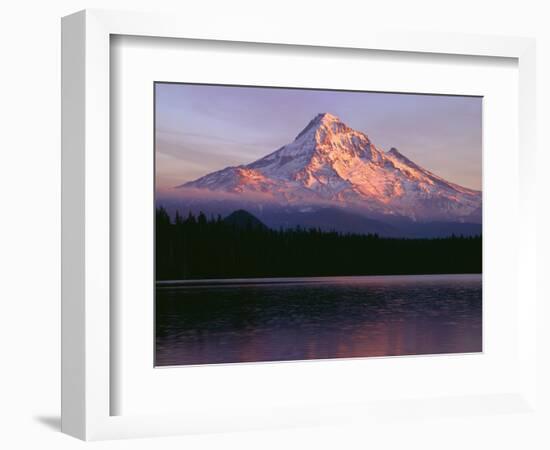 Oregon. Mount Hood NF, sunset light reddens north side of Mount Hood with first snow of autumn-John Barger-Framed Photographic Print