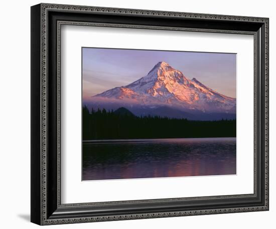 Oregon. Mount Hood NF, sunset light reddens north side of Mount Hood with first snow of autumn-John Barger-Framed Photographic Print