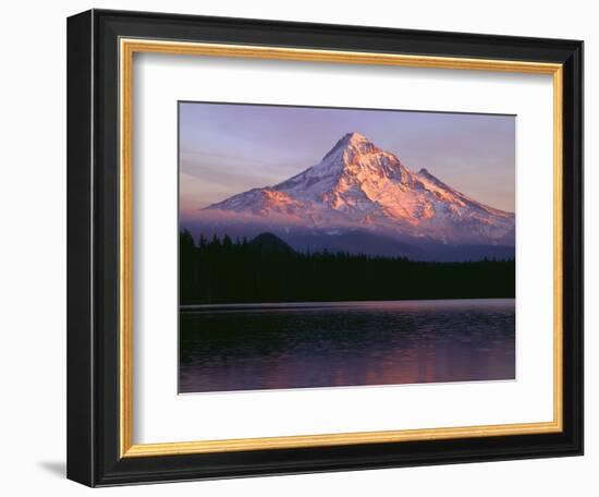 Oregon. Mount Hood NF, sunset light reddens north side of Mount Hood with first snow of autumn-John Barger-Framed Photographic Print