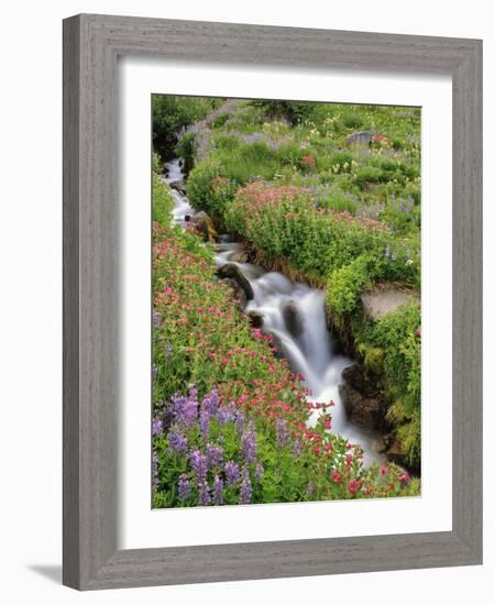 Oregon, Mt. Hood Wilderness. Wildflowers Along Elk Cove Creek-Steve Terrill-Framed Photographic Print