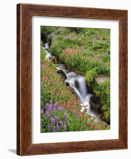 Oregon, Mt. Hood Wilderness. Wildflowers Along Elk Cove Creek-Steve Terrill-Framed Photographic Print