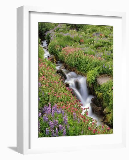 Oregon, Mt. Hood Wilderness. Wildflowers Along Elk Cove Creek-Steve Terrill-Framed Photographic Print