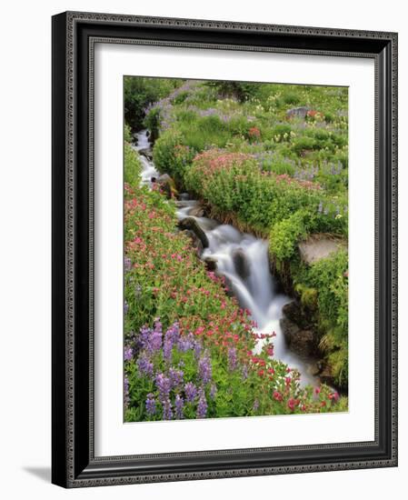 Oregon, Mt. Hood Wilderness. Wildflowers Along Elk Cove Creek-Steve Terrill-Framed Photographic Print