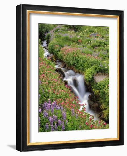 Oregon, Mt. Hood Wilderness. Wildflowers Along Elk Cove Creek-Steve Terrill-Framed Photographic Print