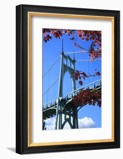 Oregon, Portland, Cathedral Park, St. John's Bridge-Rick A^ Brown-Framed Photographic Print