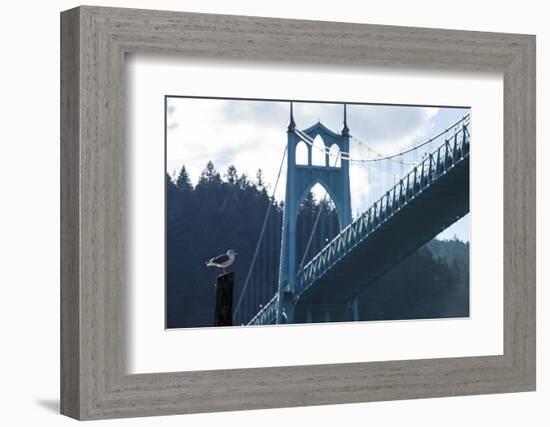 Oregon, Portland, Cathedral Park, Western Gull in Front of St. John's Bridge-Rick A. Brown-Framed Premium Photographic Print