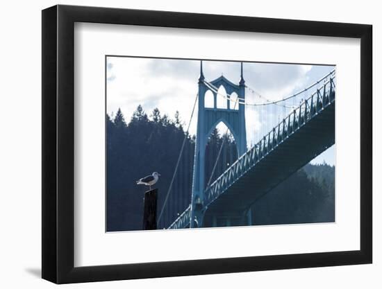 Oregon, Portland, Cathedral Park, Western Gull in Front of St. John's Bridge-Rick A. Brown-Framed Premium Photographic Print