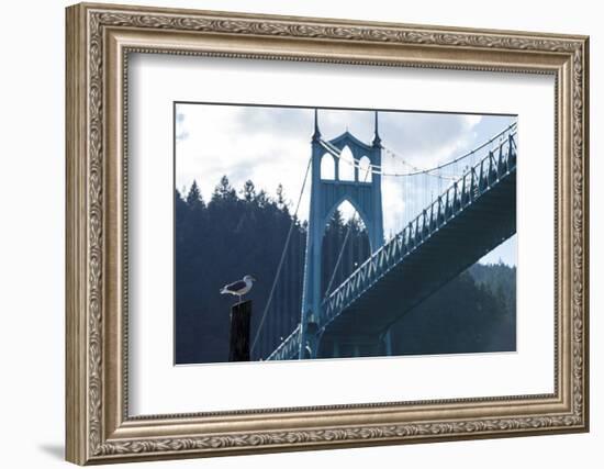 Oregon, Portland, Cathedral Park, Western Gull in Front of St. John's Bridge-Rick A. Brown-Framed Photographic Print