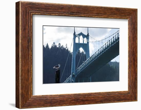 Oregon, Portland, Cathedral Park, Western Gull in Front of St. John's Bridge-Rick A. Brown-Framed Photographic Print