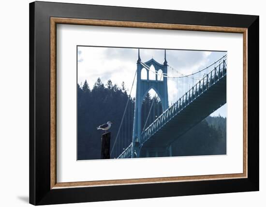 Oregon, Portland, Cathedral Park, Western Gull in Front of St. John's Bridge-Rick A. Brown-Framed Photographic Print