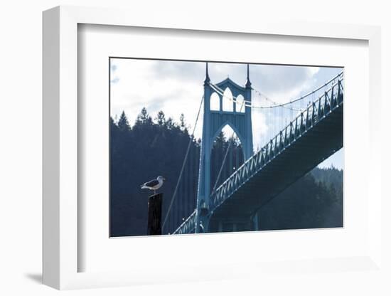 Oregon, Portland, Cathedral Park, Western Gull in Front of St. John's Bridge-Rick A. Brown-Framed Photographic Print