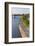 Oregon, Portland. Downtown and Waterfront Park-Brent Bergherm-Framed Photographic Print