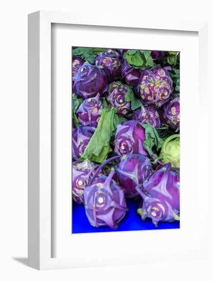 Oregon, Redmond, Bend. The Bend Farmers Market at Top of Mirror Pond Park in downtown-Emily Wilson-Framed Photographic Print