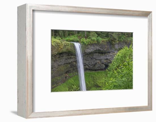 Oregon. Silver Falls State Park, spring flow of South Fork Silver Creek-John Barger-Framed Photographic Print