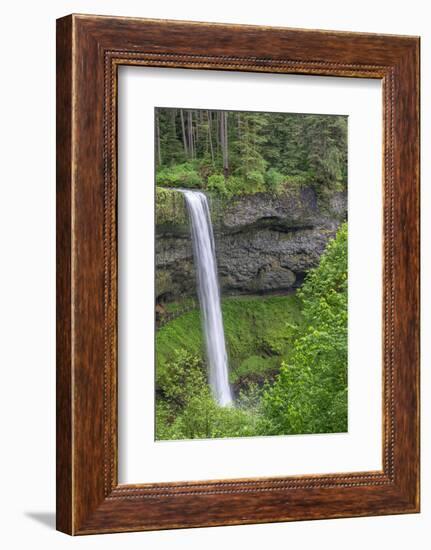 Oregon. Silver Falls State Park, spring flow of South Fork Silver Creek-John Barger-Framed Photographic Print