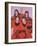 Oregon State Cheerleaders, 2002-Joe Heaps Nelson-Framed Giclee Print