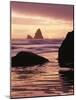 Oregon, Sunset over Sea Stacks at Meyers Creek Beach-Christopher Talbot Frank-Mounted Photographic Print