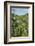 Oregon, Tom Mccall Nature Conservancy. Columbia River Highway Next to Columbia River-Jaynes Gallery-Framed Photographic Print