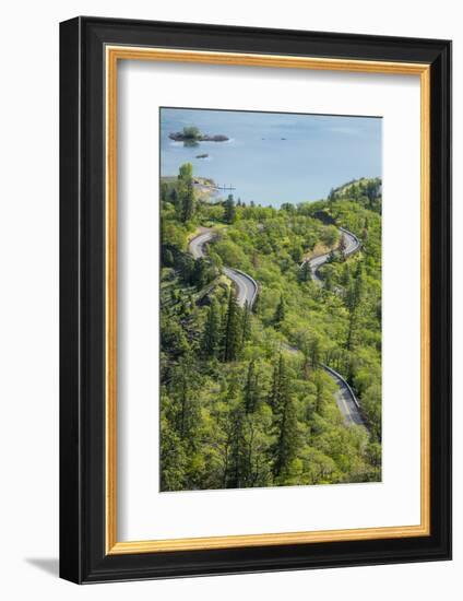 Oregon, Tom Mccall Nature Conservancy. Columbia River Highway Next to Columbia River-Jaynes Gallery-Framed Photographic Print