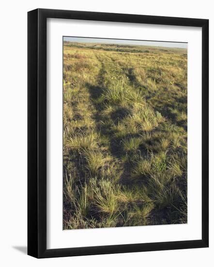 Oregon Trail Tracks Heading West from Fort Laramie, Wyoming, Also the Route to California-null-Framed Photographic Print