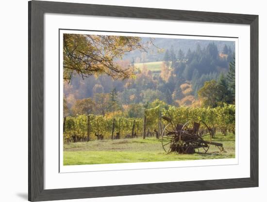 Oregon Vineyard 2-Donald Paulson-Framed Giclee Print