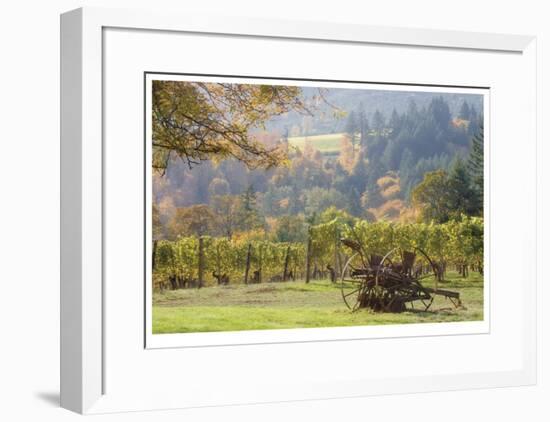 Oregon Vineyard 2-Donald Paulson-Framed Giclee Print