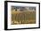 Oregon Vineyard-Donald Paulson-Framed Giclee Print