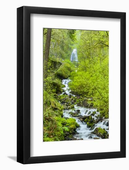 Oregon, Wahkeena Falls. Located Along I-84, the Columbia River Gorge-Richard Duval-Framed Photographic Print