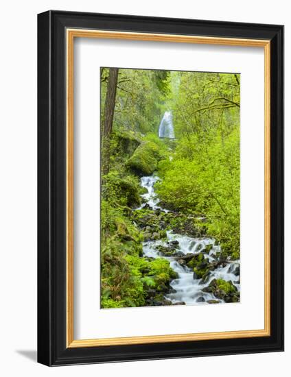 Oregon, Wahkeena Falls. Located Along I-84, the Columbia River Gorge-Richard Duval-Framed Photographic Print