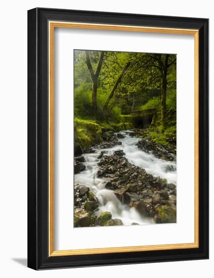 Oregon, Wahkeena Falls. Located Along I-84, the Columbia River Gorge-Richard Duval-Framed Photographic Print