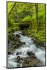 Oregon, Wahkeena Falls. Located Along I-84, the Columbia River Gorge-Richard Duval-Mounted Photographic Print