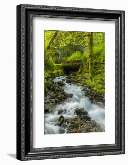 Oregon, Wahkeena Falls. Located Along I-84, the Columbia River Gorge-Richard Duval-Framed Photographic Print